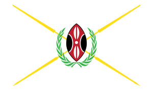 Mwai Kibaki flag